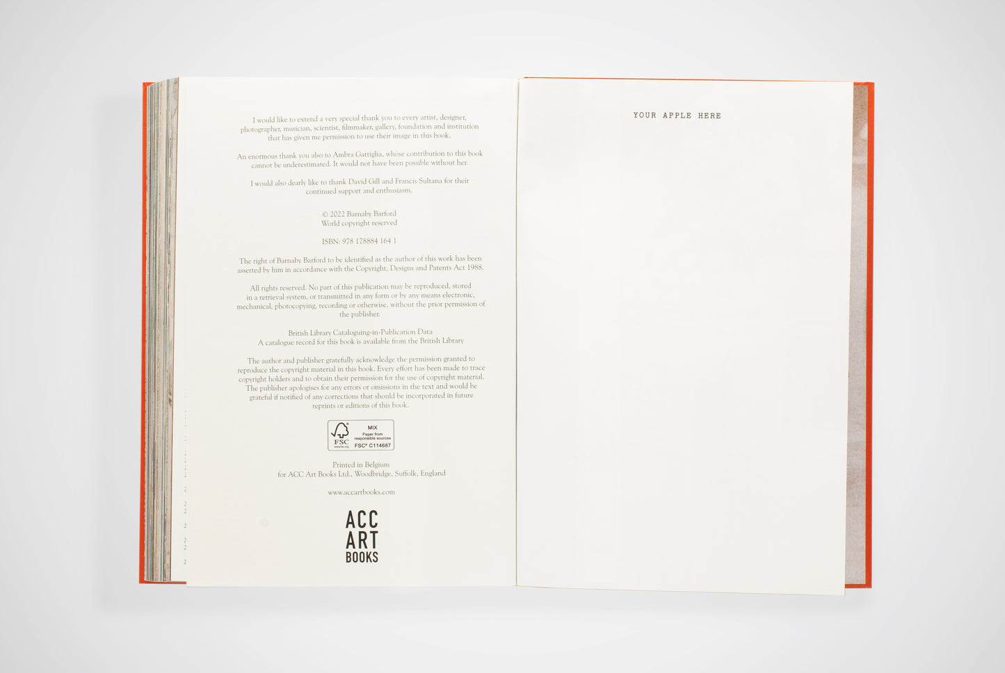 THE APPLE IS EVERYTHING Box of 12 including a unique signed drawing